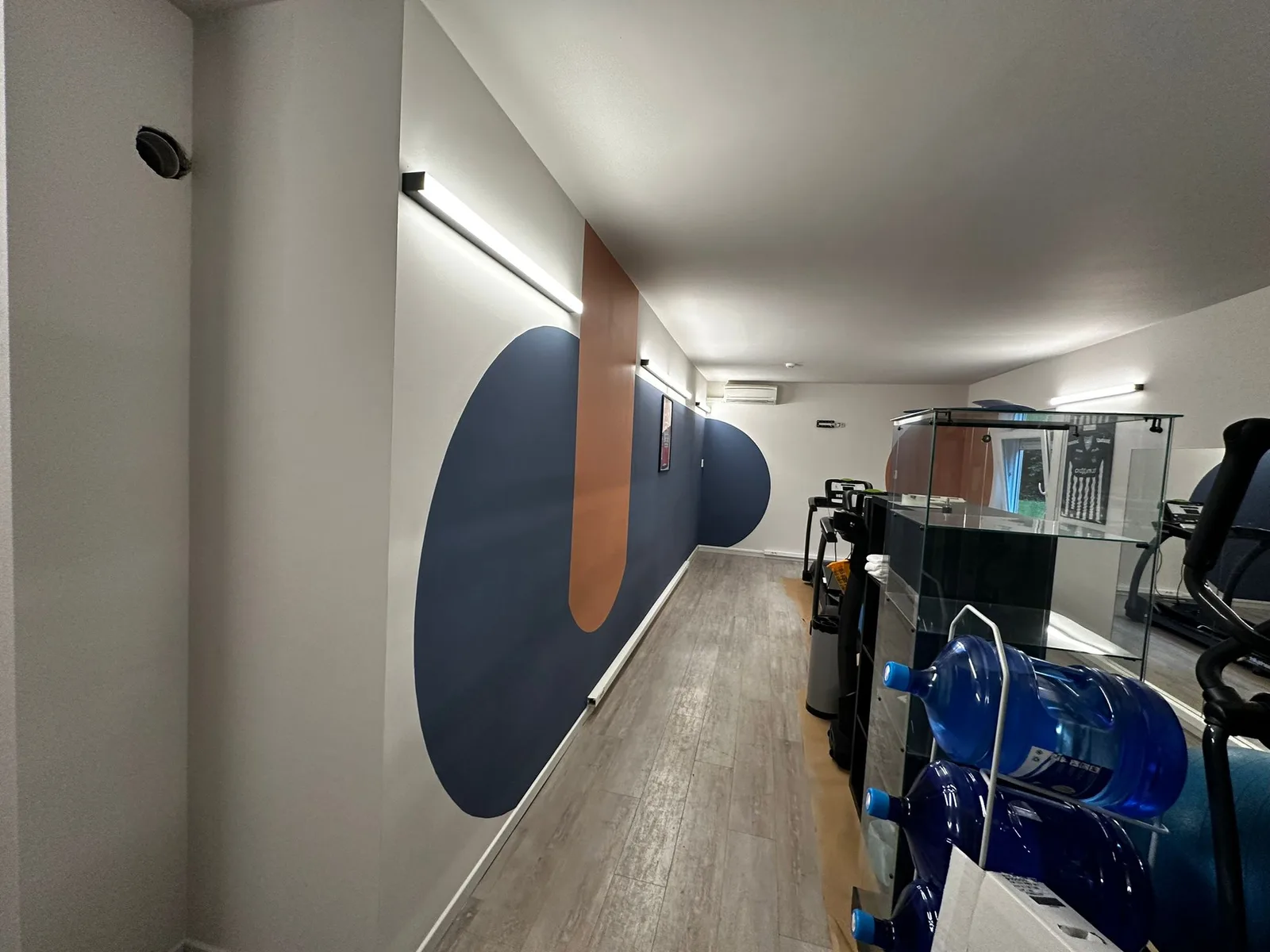 Exercise room with a blue and terracotta decorative wall