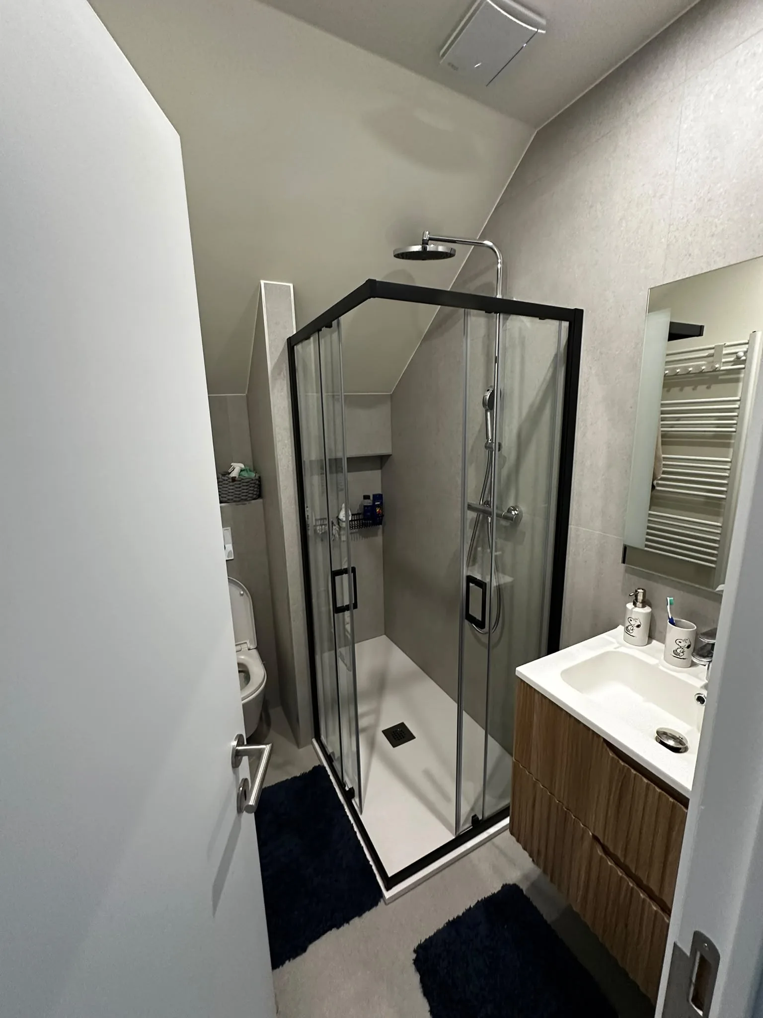 Troisième salle de bain aménagée sous une pente de toiture