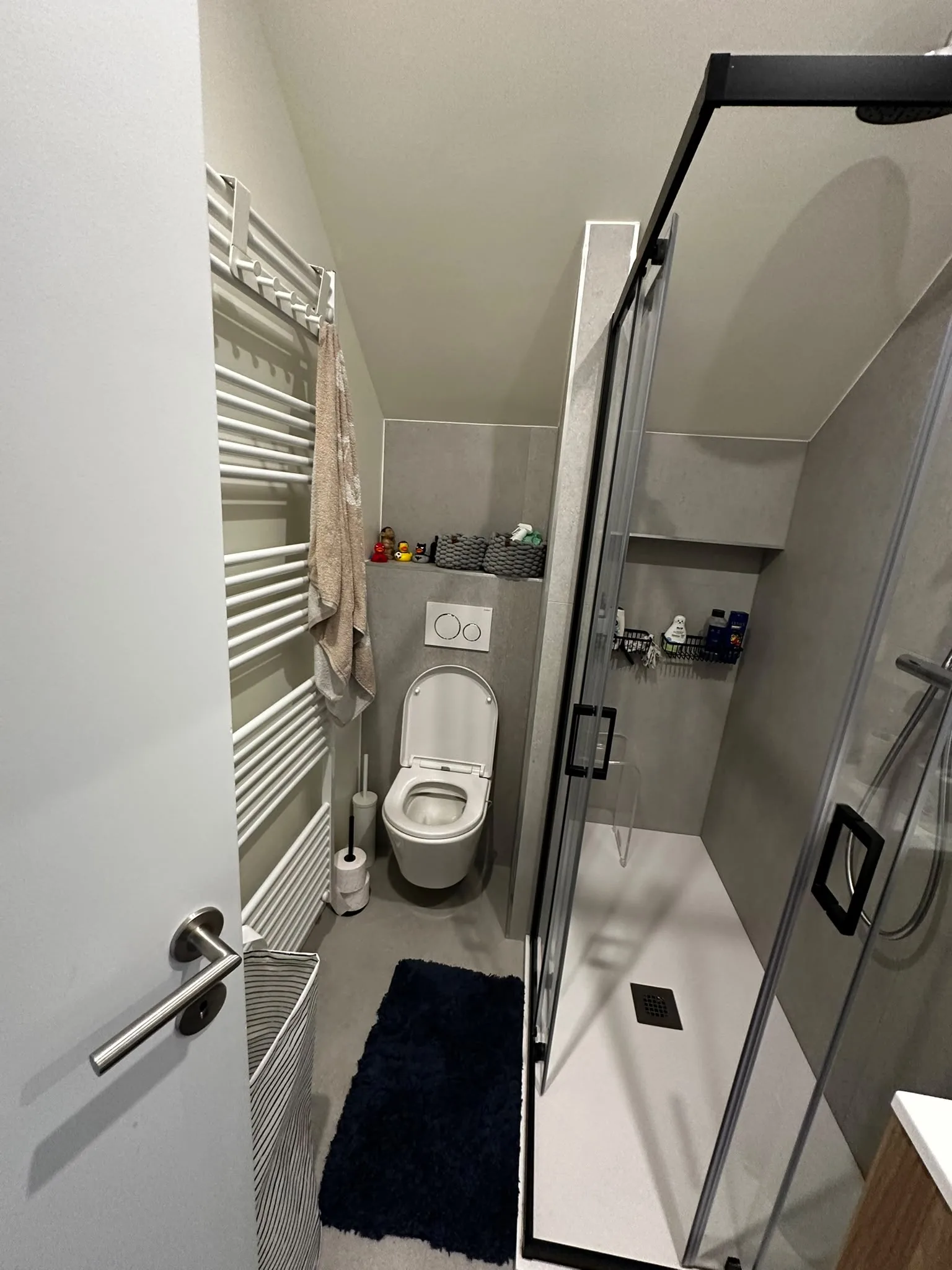 Douche, WC suspendu et sèche-serviettes sous toiture